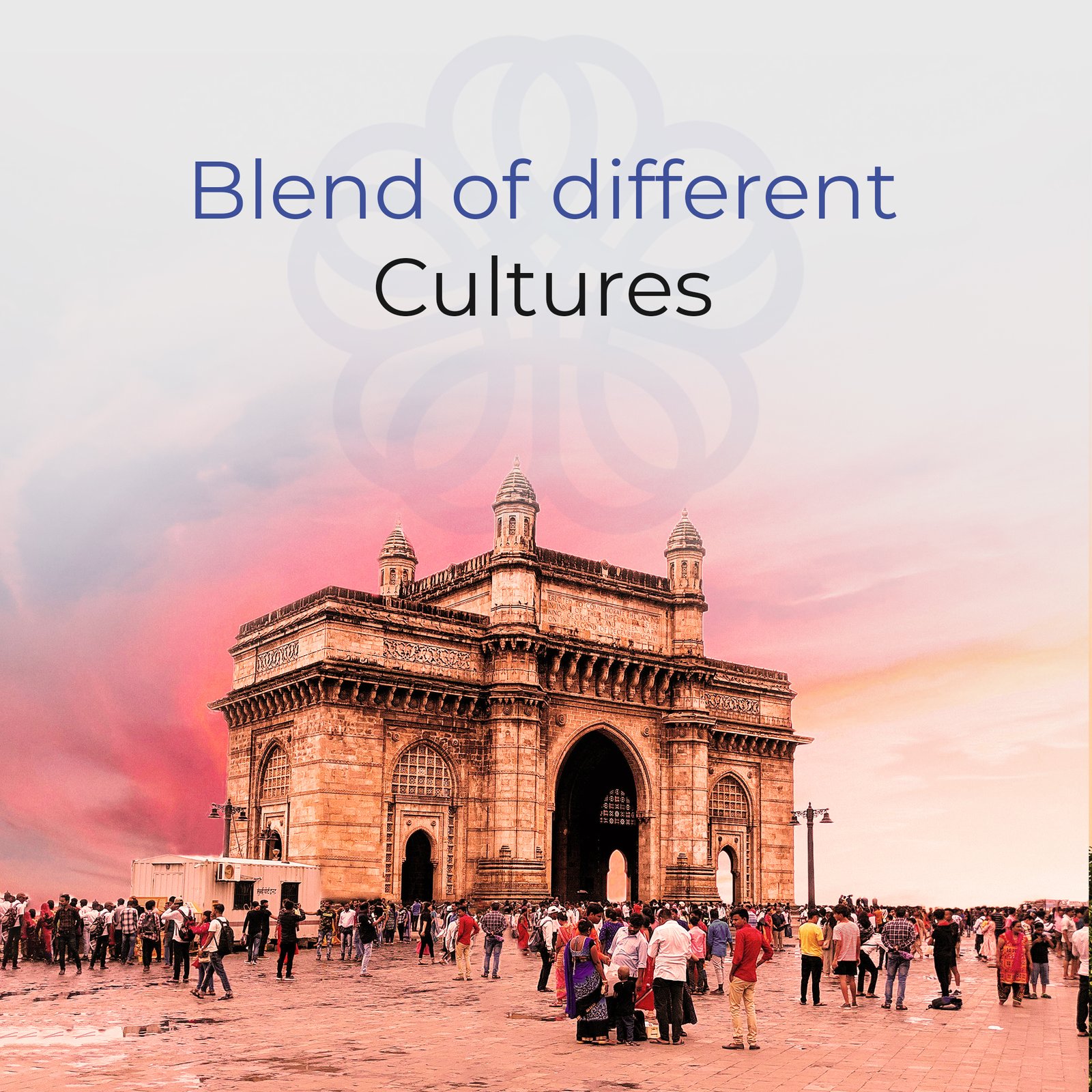 Reform-carosels-01_06